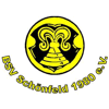 Wappen von BSV Schönfeld 1980