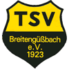 TSV Breitengüßbach II