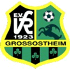 VfR 1923 Großostheim