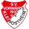 SV Vorwärts 1910 Kleinostheim