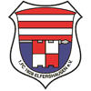1. FC 1928 Elfershausen II