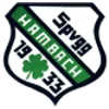 SpVgg Hambach 1933