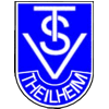 Wappen von TSV Theilheim