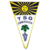 Wappen von TSG Sommerhausen
