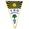 TSG Sommerhausen