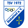 TSV 1972 Biebelried II