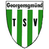 TSV 1913 Georgensgmünd