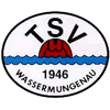 TSV 1946 Wassermungenau