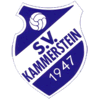 SV Kammerstein 1947