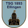 TSG 1893 Ellingen II