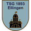 TSG 1893 Ellingen