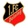 1. FC Deining II