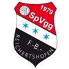 SpVgg Forst Buchberg-Reichertshofen 1979