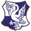 TSV Unterschwaningen 1961