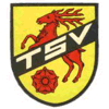 TSV Kümmersbruck II