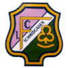 1. FC Schmidgaden II