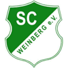 SC Weinberg Schwandorf II