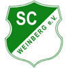 SC Weinberg Schwandorf