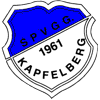 SpVgg Kapfelberg 1961