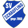 SV Schaufling 1965
