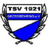 TSV 1921 Großmehring