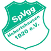 SpVgg Hebertshausen 1920