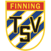 TSV Finning