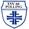 TSV 66 Polling II