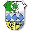 TSV Eiselfing 1966