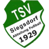TSV Siegsdorf 1929 II