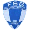 FSG Borsdorf/Rodheim II