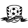 FC Lindenberg Adelebsen von 2001 III