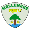 RSV Mellensee 08 III