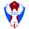 FC Phoenix Halver 08