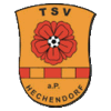 TSV Hechendorf