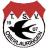 TSV 1907 Oberlauringen