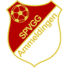 Spvgg Ammeldingen