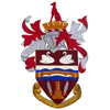 Wappen von Staines Town FC