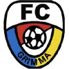 FC Grimma