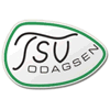TSV Odagsen