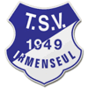 Wappen von TSV Irmenseul