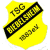 TSG 1883 Biebelsheim