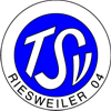 Wappen von TSV Riesweiler 04
