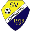 SV Gemünden 1919