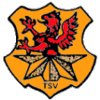 Wappen von TSV Sachsenberg
