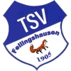 TSV Fellingshausen 1905
