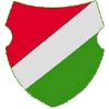 SV Rot-Weiß-Grün Salzböden 1960