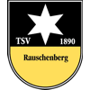 TSV 1890 Rauschenberg