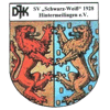 DJK SV Schwarz-Weiß 1928 Hintermeilingen
