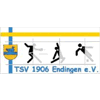 TSV 1906 Endingen